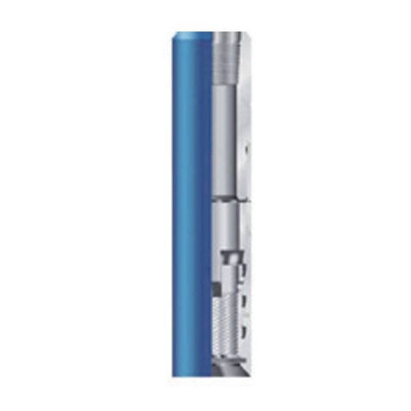 短鱼顶草莓视频WWW筒